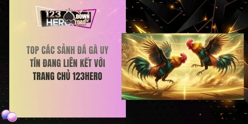 Top các sảnh đá gà uy tín đang liên kết với trang chủ 123hero