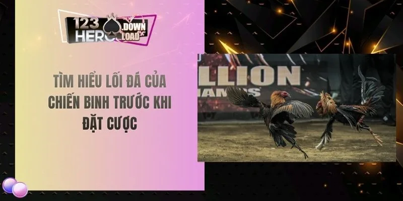 Tìm hiểu lối đá của chiến binh trước khi đặt cược